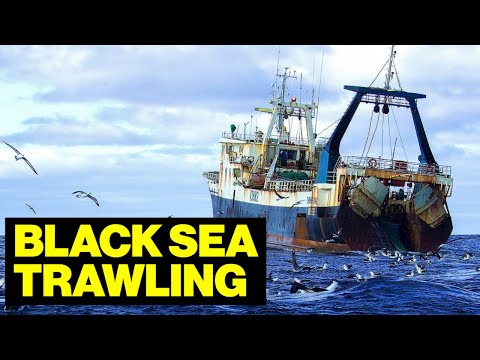 Life INSIDE a Commercial TRAWLING Vessel In The Black Sea