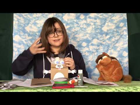 Craft with Filbert - Make your own raccoon puppet