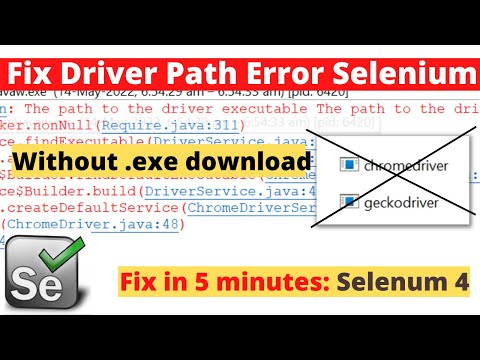 Fix browser driver Path Error without downloading EXE files | How to run Selenium without EXE