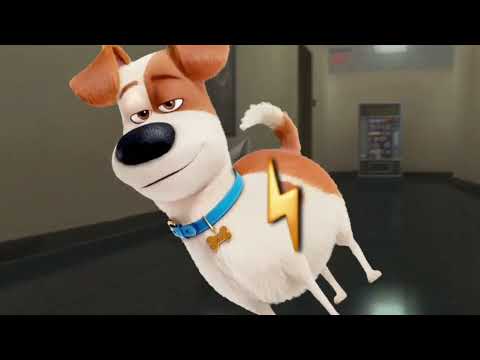 Opening to Universal Pinocchio 70th Anniversary Platinum Edition 2009 Blu-ray Disc 1 Feature Film