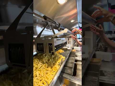 10KG Mountain of Belgian Fries 🍟 in Belgium 🇧🇪