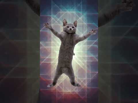 cbhd #memes #animation #animationmeme #funny #motesor #cartoon #comedy #animationmemes