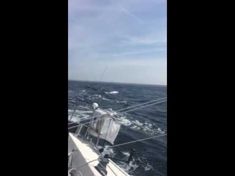 IMX 40 My-X Seapilot2star 2016