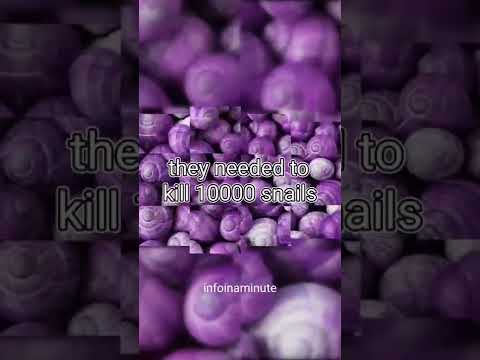 Why most of the countries flag doesn't have the colour purple?🤔