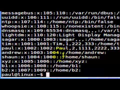 How to read the etc passwd file in Linux Mint