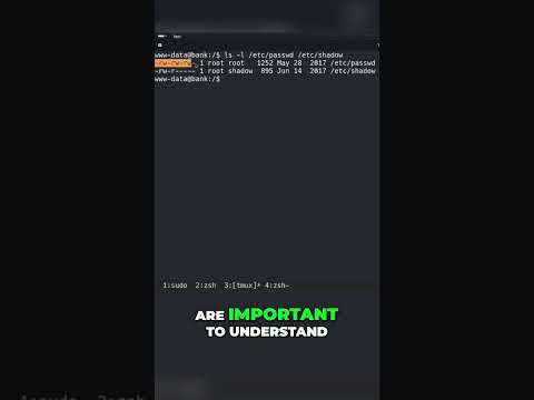 Unlocking Linux Secrets of Passwd &amp; Shadow File Permissions #linuxforbeginners #ethicalhacking #htb