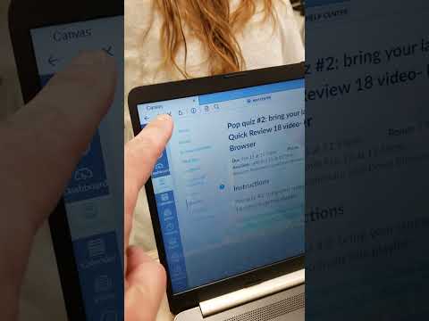 How a correct Respondus login looks with  a Windows platform | Respondus Lockdown Browser only