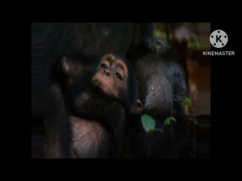 Previews From Finding Alvin 2012 Blu-ray Disc 1