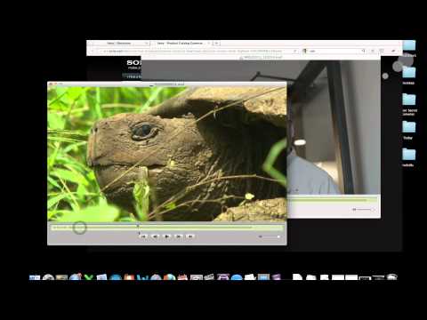 F65 Workflow Part 3: Working with SR Codec