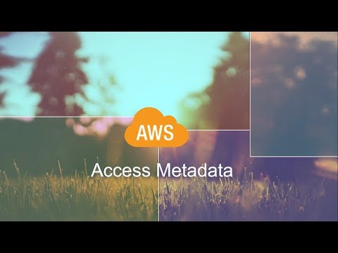 Access Metadata