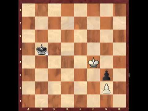 Chess: Symmetric pawn endgame 2, 1-0 http://sunday.b1u.org ✔️