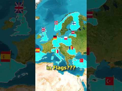 Why no Purple flags???🤔🟪