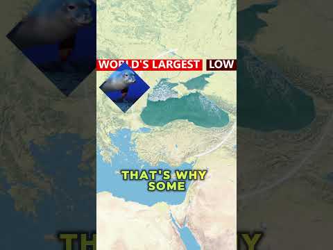 Black Sea and Its Bordering Countries