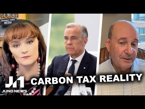 Economist EXPOSES the hidden cost of Carney’s carbon tax