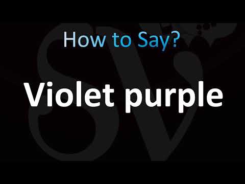How to Pronounce Violet purple (CORRECTLY!)